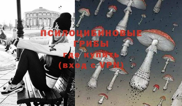 индика Верхнеуральск