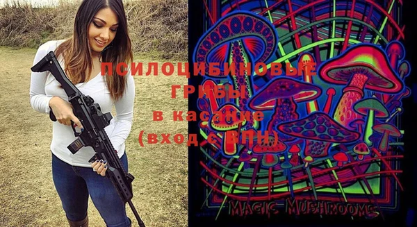 молекула духа Верея