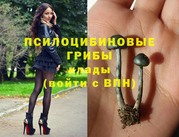 индика Верхнеуральск