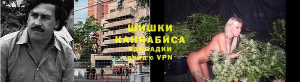 молекула духа Верея