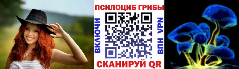 Купить где Хотьково Галлюциногенные грибы MAGIC MUSHROOMS
